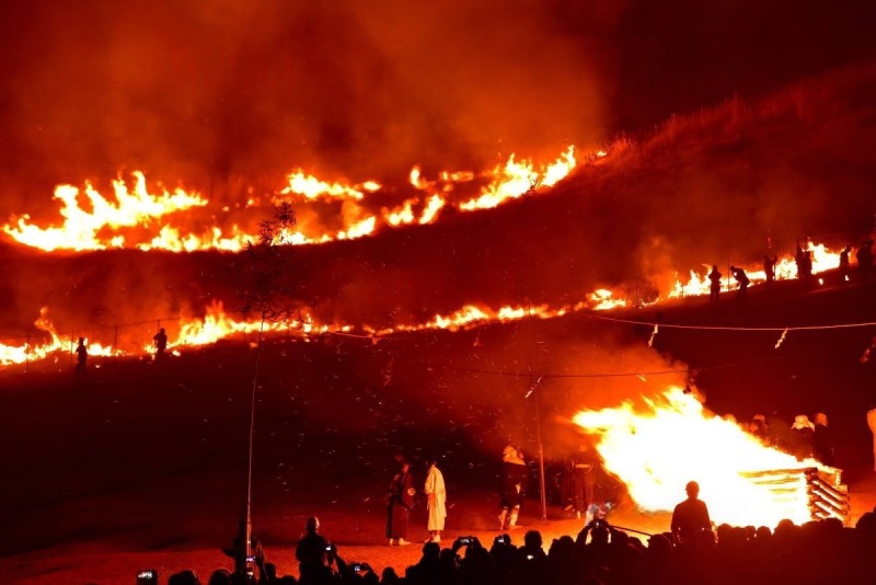 若草山焼き山麓1