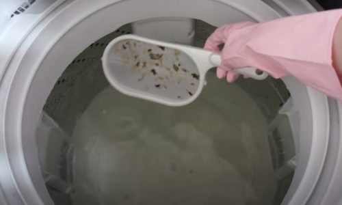 洗濯槽の汚れすくい2