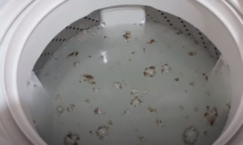 洗濯槽の汚れ