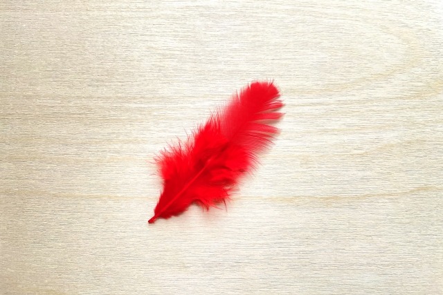 一枚の赤い羽根