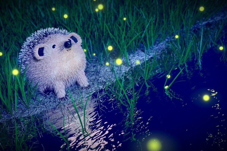 夏の夜、水辺でたくさんのホタルに囲まれて空を見上げるかわいいハリネズミ