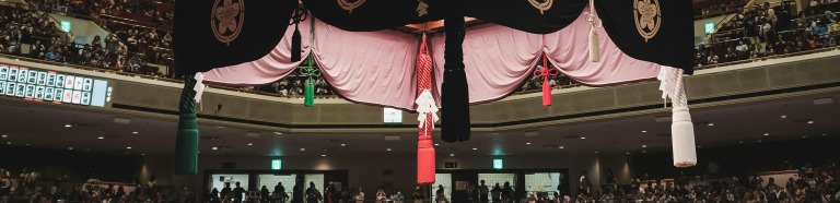 相撲の吊り屋根の房