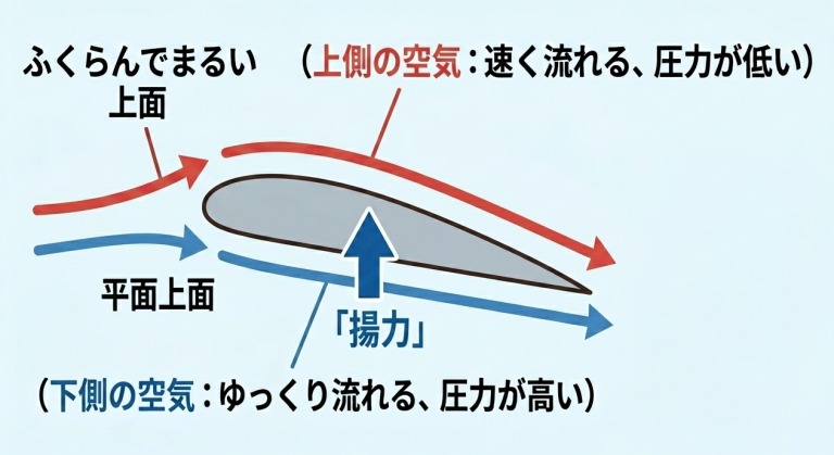 飛行機の翼_揚力の仕組み_図解